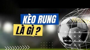Chiến thuật cược kèo rung hiệu quả